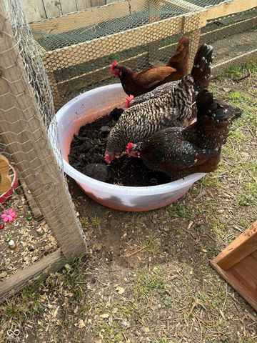 4225 Guilford Avenue, Indianapolis, IN 46205