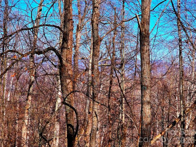 160 Slippery Rock Road 206, Waynesville, NC 28785