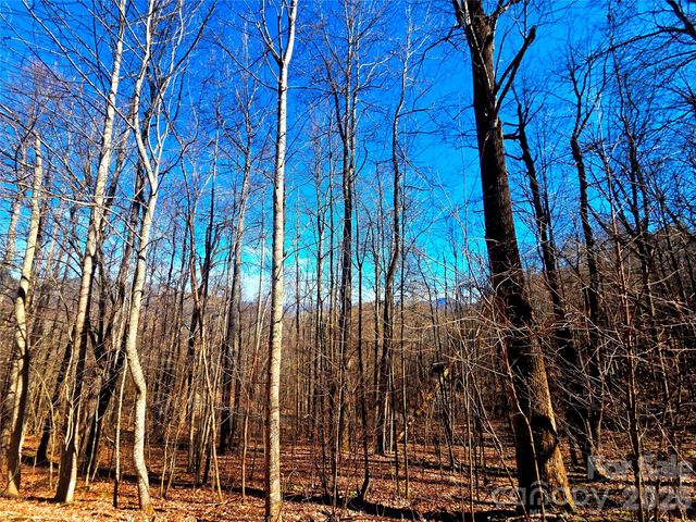 160 Slippery Rock Road 206, Waynesville, NC 28785