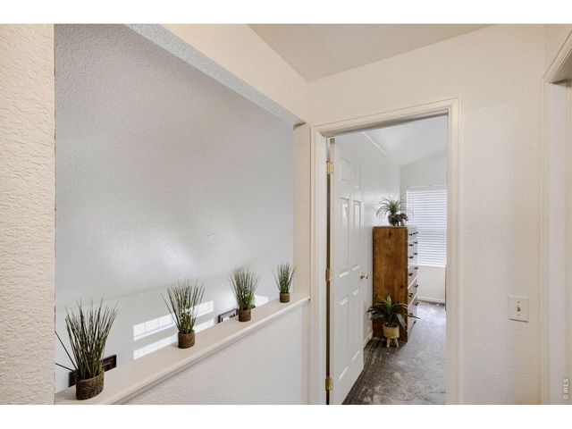 4775 Flower St, Wheat Ridge, CO 80033