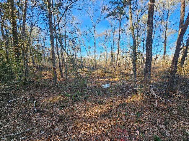 Lot 3 Sherwood Drive, Shepherd, TX 77371