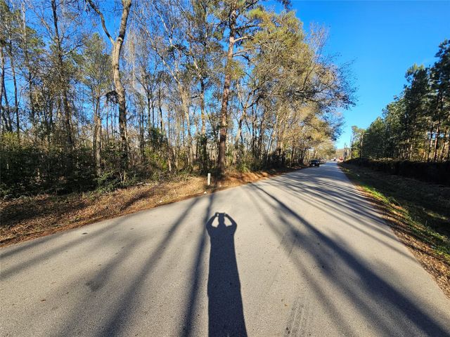 Lot 3 Sherwood Drive, Shepherd, TX 77371