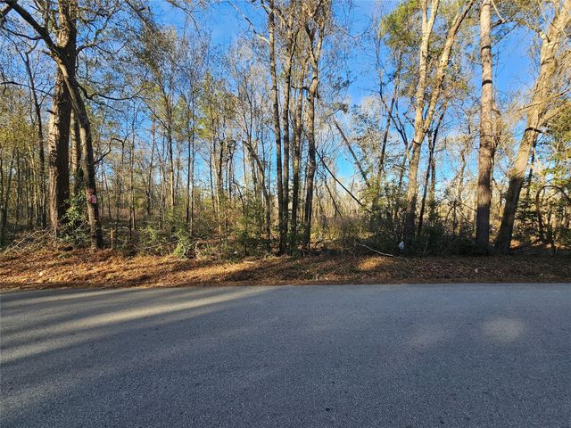 Lot 3 Sherwood Drive, Shepherd, TX 77371