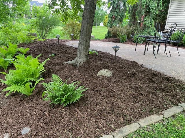 15692 Enfield Avenue N, Hugo, MN 55038