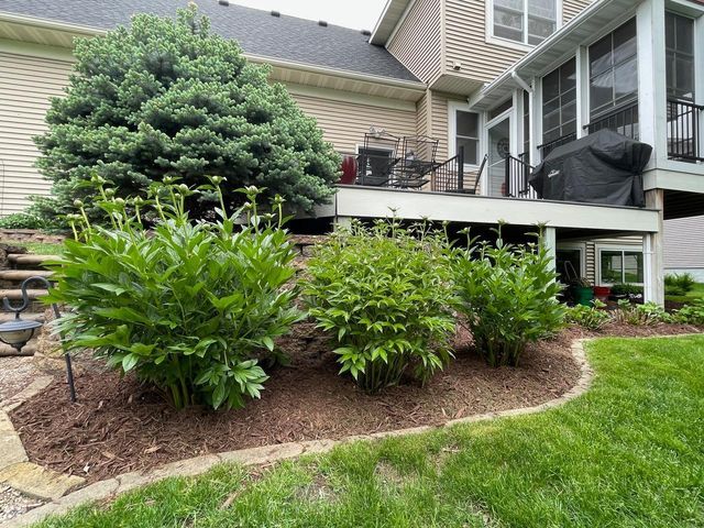 15692 Enfield Avenue N, Hugo, MN 55038