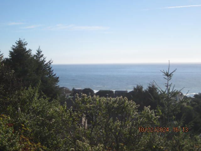 60 Spruce Road, Shelter Cove, CA 95589