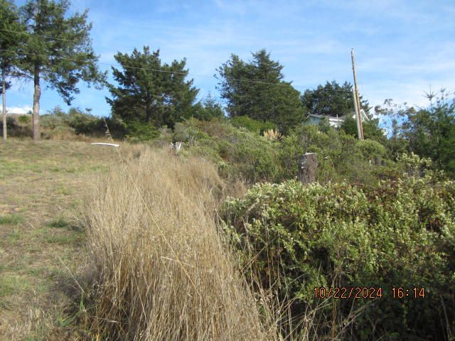 60 Spruce Road, Shelter Cove, CA 95589