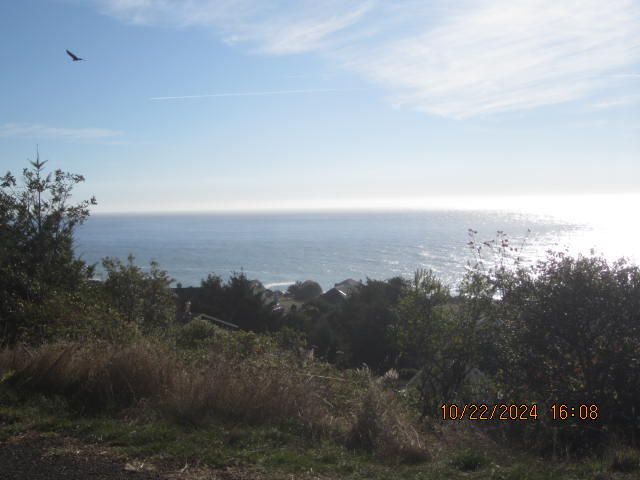 60 Spruce Road, Shelter Cove, CA 95589