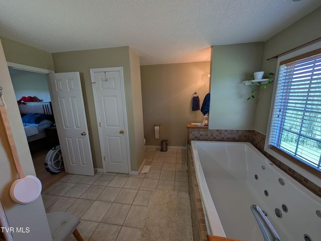 1222 Bowmantown Road, Limestone, TN 37681