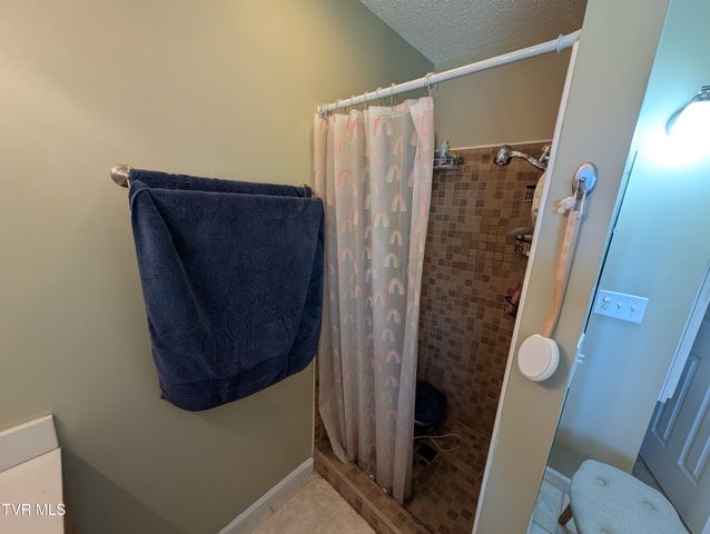 1222 Bowmantown Road, Limestone, TN 37681