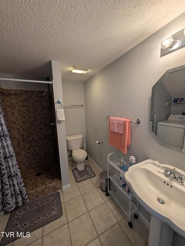 1222 Bowmantown Road, Limestone, TN 37681