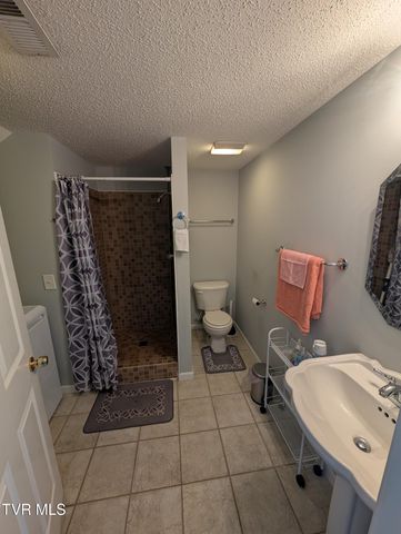 1222 Bowmantown Road, Limestone, TN 37681
