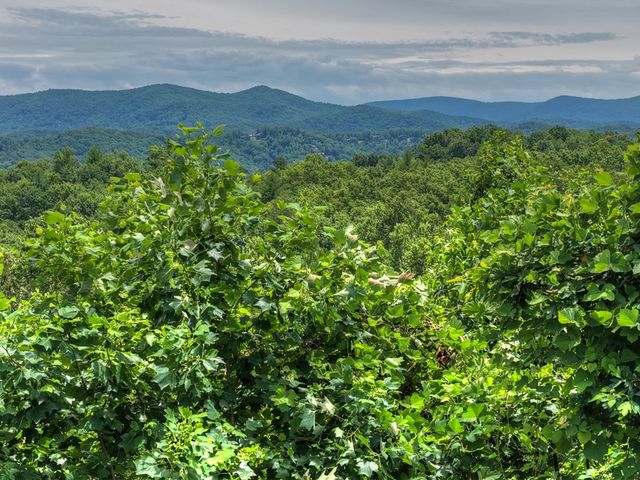 1207 Bullen Gap Road, Blue Ridge, GA 30513
