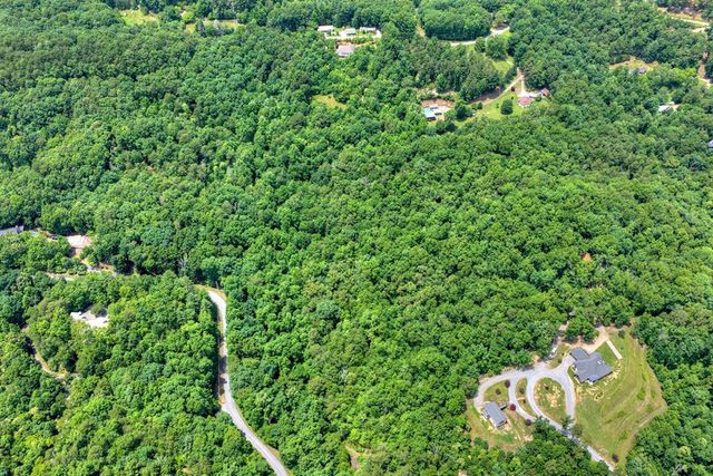 1207 Bullen Gap Road, Blue Ridge, GA 30513
