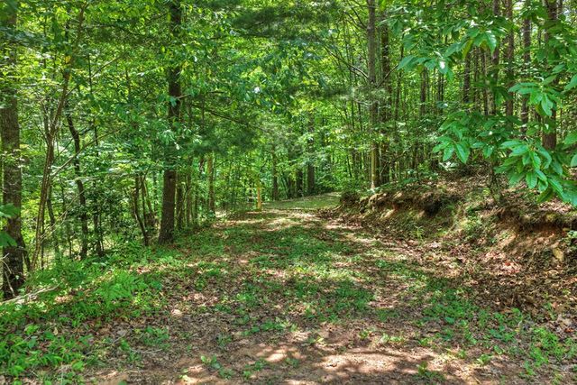 1207 Bullen Gap Road, Blue Ridge, GA 30513