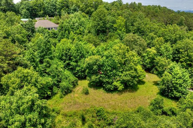 1207 Bullen Gap Road, Blue Ridge, GA 30513