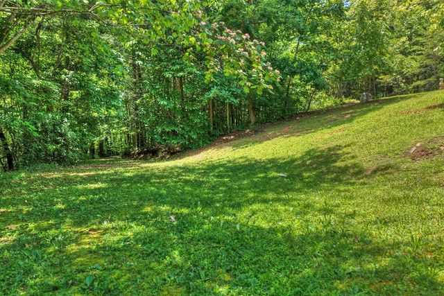 1207 Bullen Gap Road, Blue Ridge, GA 30513