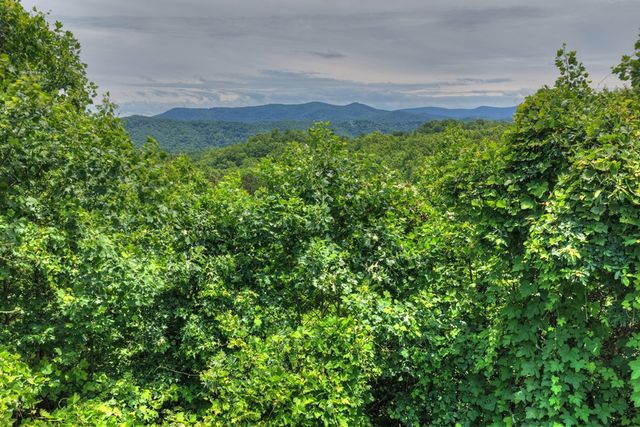 1207 Bullen Gap Road, Blue Ridge, GA 30513