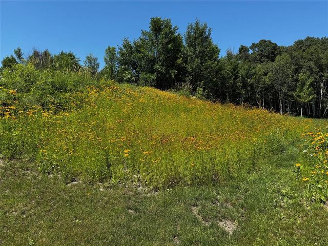 1302 Greentree Drive, St Croix Falls, WI 54024