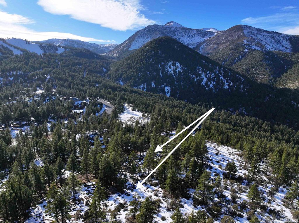 123 Mountain Haven Lane, Reno, NV 89511