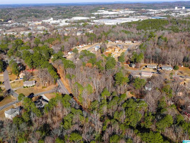 1005 TIMBERLINE TRAIL, Birmingham, AL 35215