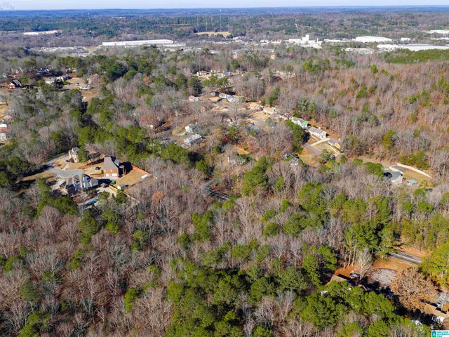 1005 TIMBERLINE TRAIL, Birmingham, AL 35215