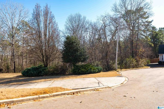 1005 TIMBERLINE TRAIL, Birmingham, AL 35215