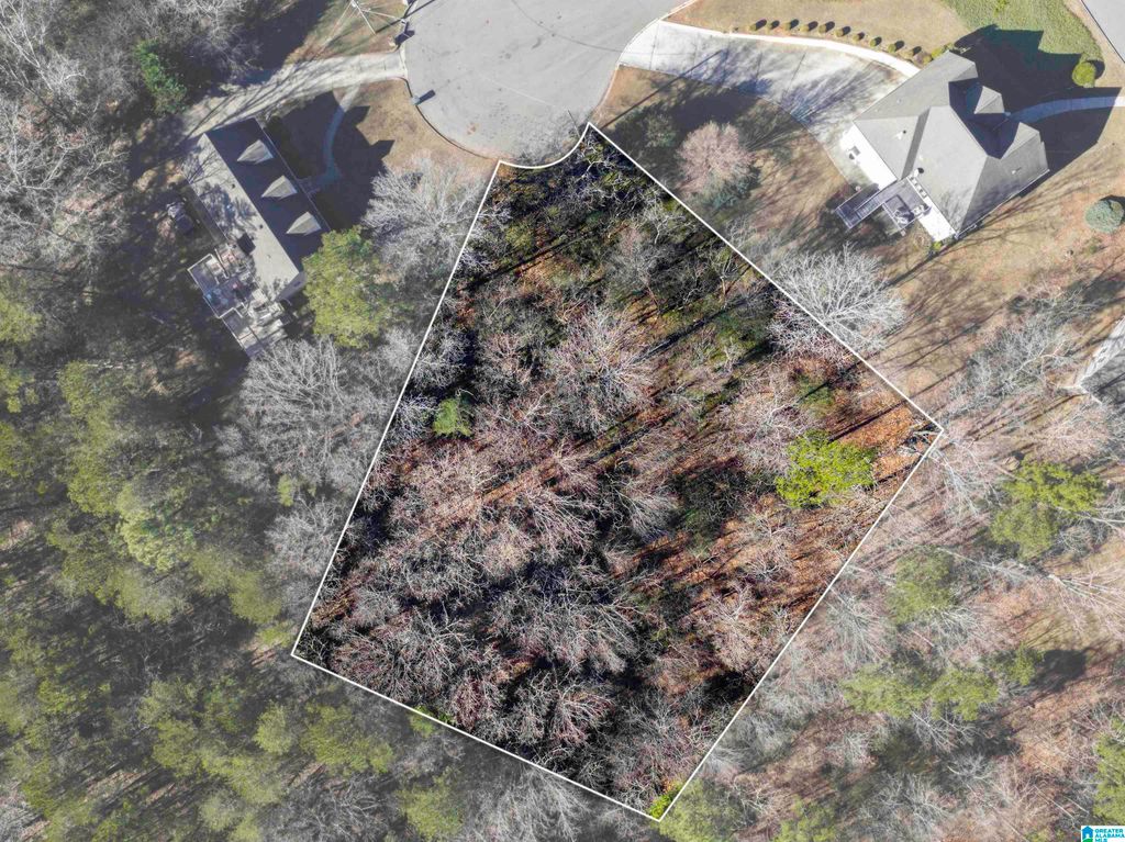 1005 TIMBERLINE TRAIL, Birmingham, AL 35215