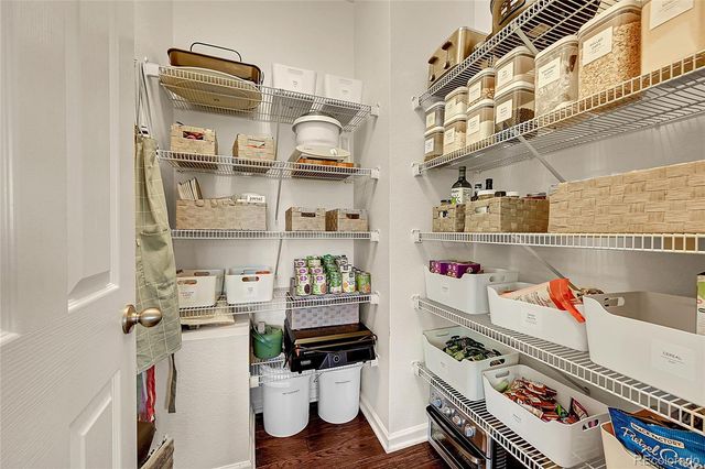 1467 Morningview Lane, Castle Rock, CO 80109