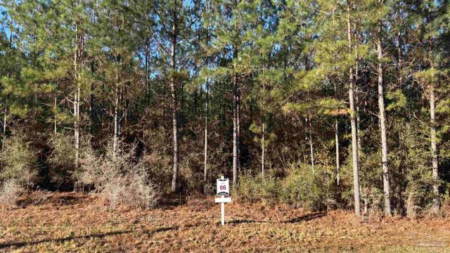 lot 66 Straw Bridge Rd, Allentown, FL 32565