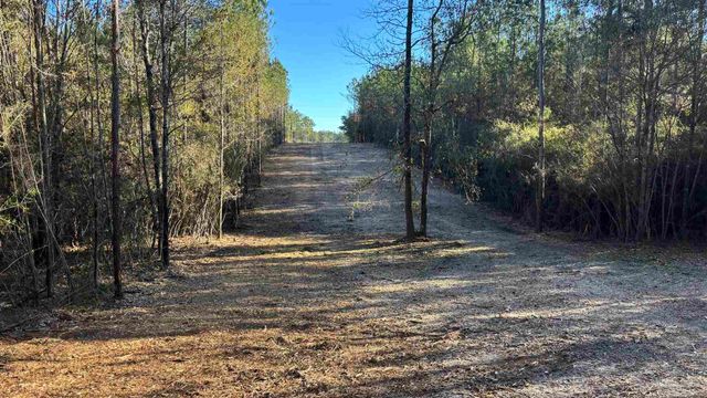 lot 66 Straw Bridge Rd, Allentown, FL 32565