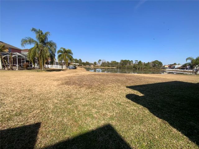 9328 MANDRAKE COURT, Tampa, FL 33647