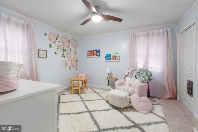 4281 BEAR BUG LN, Bealeton, VA 22712