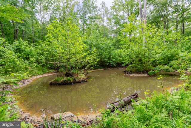 4281 BEAR BUG LN, Bealeton, VA 22712