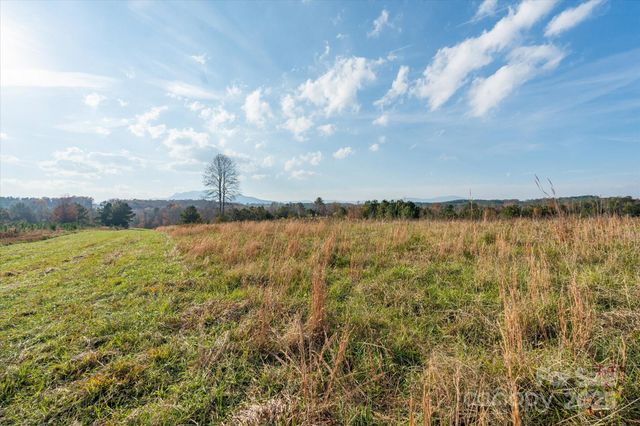 1888 Pea Ridge Road, Mill Spring, NC 28756