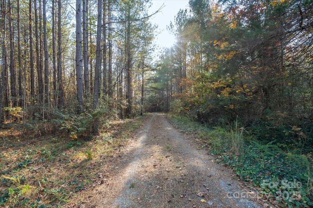 1888 Pea Ridge Road, Mill Spring, NC 28756