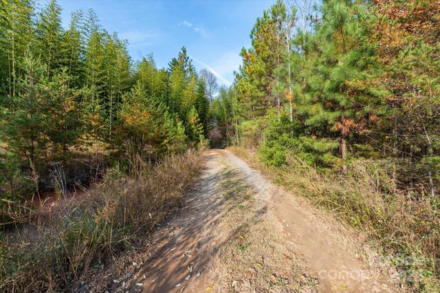 1888 Pea Ridge Road, Mill Spring, NC 28756