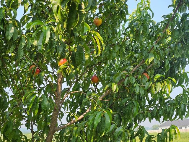 547 S 6th Street, Evansville, WI 53536