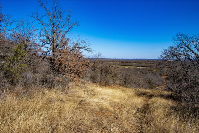 Lot 31 Tababanica Court, Mingus, TX 76453