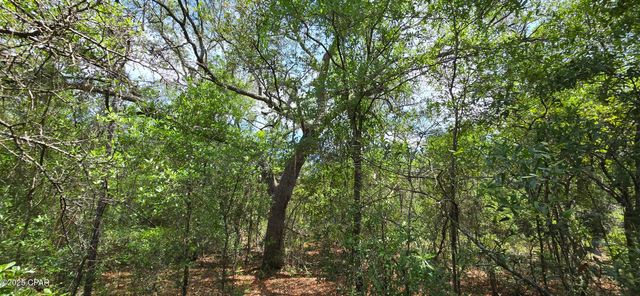 Lot 18 Unit 1 Blk 6 Fusion Circle, Chipley, FL 32428