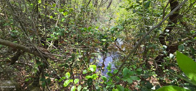 Lot 18 Unit 1 Blk 6 Fusion Circle, Chipley, FL 32428