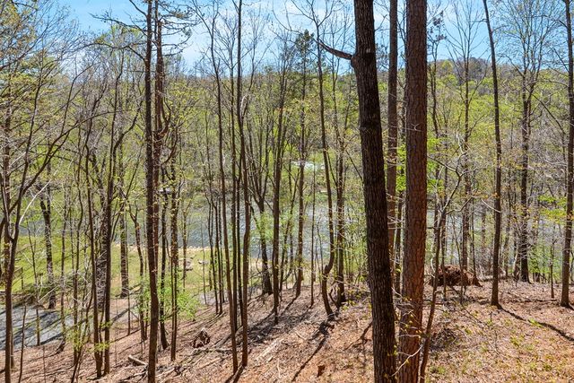 65 Dawn Lane, Ellijay, GA 30540