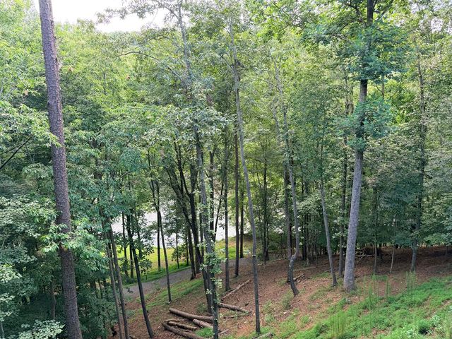 65 Dawn Lane, Ellijay, GA 30540