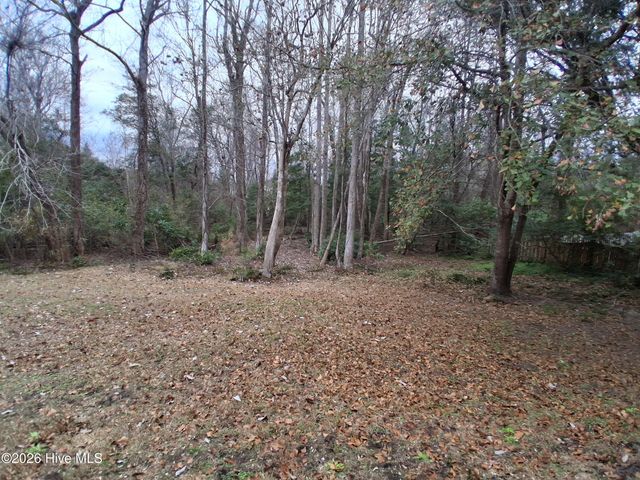 161 Marina Wynd Way, Sneads Ferry, NC 28460