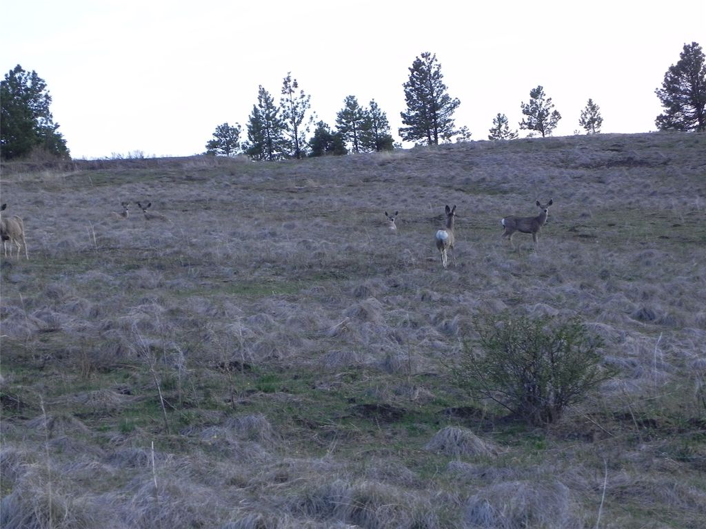 87 Hideaway Lane, Cascade, MT 59421 photo 53