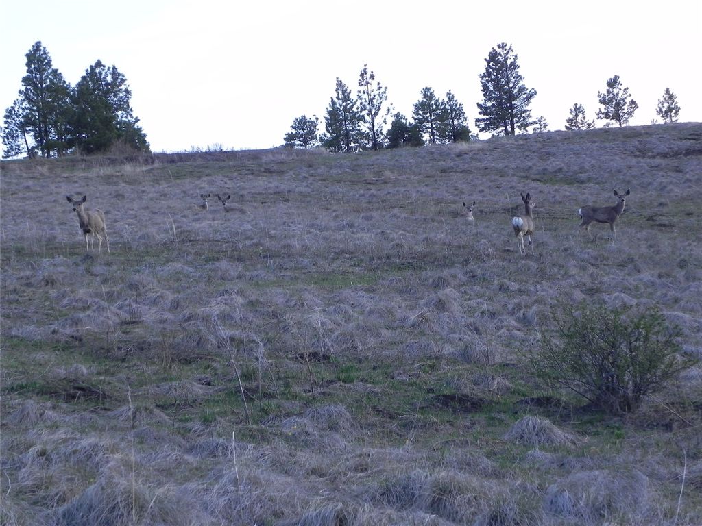 87 Hideaway Lane, Cascade, MT 59421 photo 54