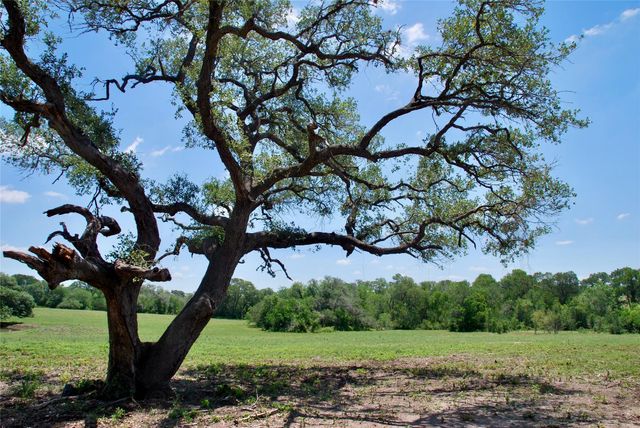 2170 Langdon Road, Weimar, TX 78962