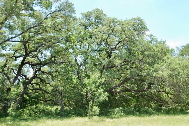 2170 Langdon Road, Weimar, TX 78962