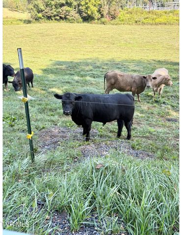 2638 Highway 81 South, Jonesborough, TN 37659