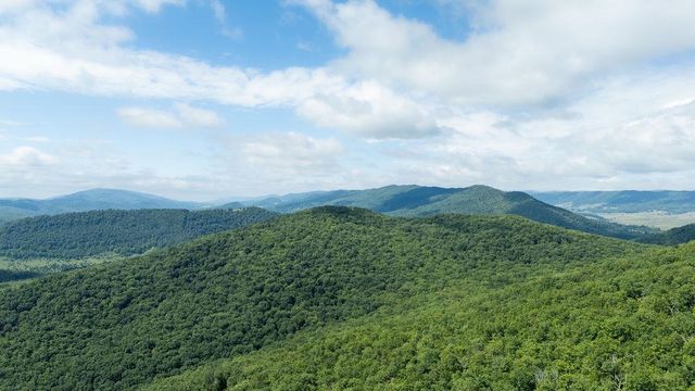 1063 S HIGH VALLEY DR, Monterey, VA 24465